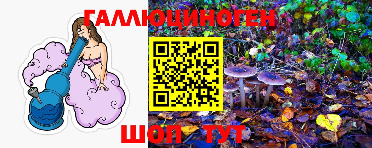 Южноуральск  Псилоцибиновые грибы GOLDEN TEACHER  Вход с VPN 